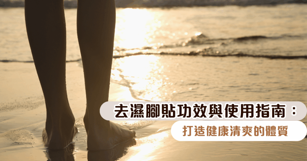 去濕腳貼功效與使用指南：打造健康清爽的體質