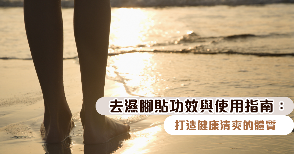 去濕腳貼功效與使用指南：打造健康清爽的體質