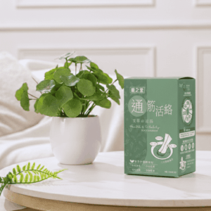 健之堂 通筋活絡艾草足浴液(40ML) 6包裝Gemini_Generated_Image_nrmnxfnrmnxfnrmn_compressed