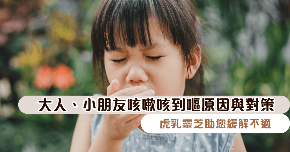 大人、小朋友咳嗽咳到嘔原因與對策：虎乳靈芝助您緩解不適