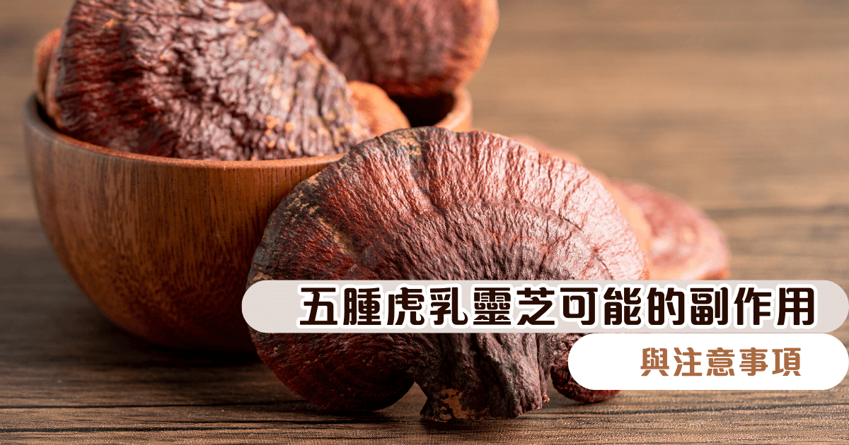 五種虎乳靈芝可能的副作用與注意事項