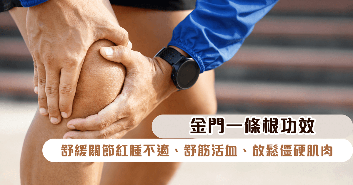 艾草膝蓋貼功效—舒緩關節紅腫不適、舒筋活血、放鬆僵硬肌肉