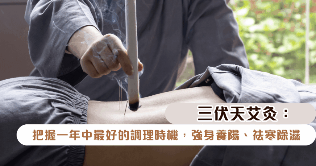 三伏天艾灸：把握一年中最好的調理時機，強身養陽、祛寒除濕
