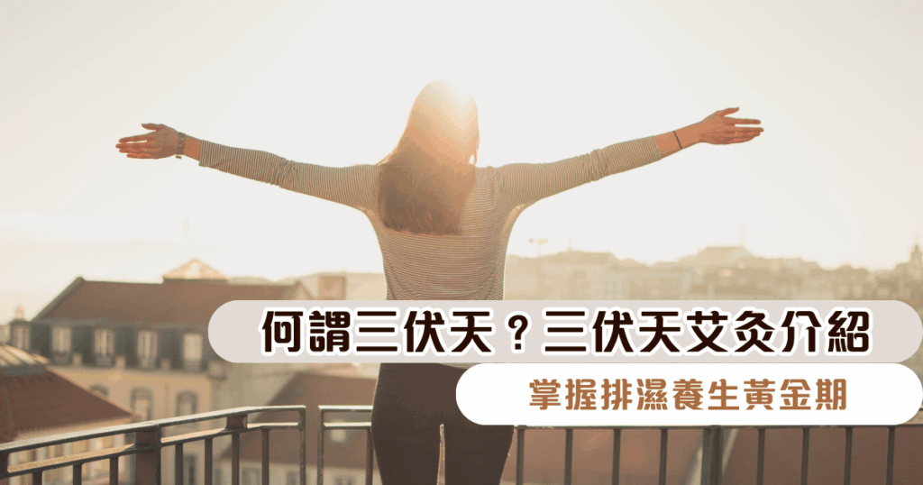 何謂三伏天？三伏天艾灸介紹｜掌握排濕養生黃金期
