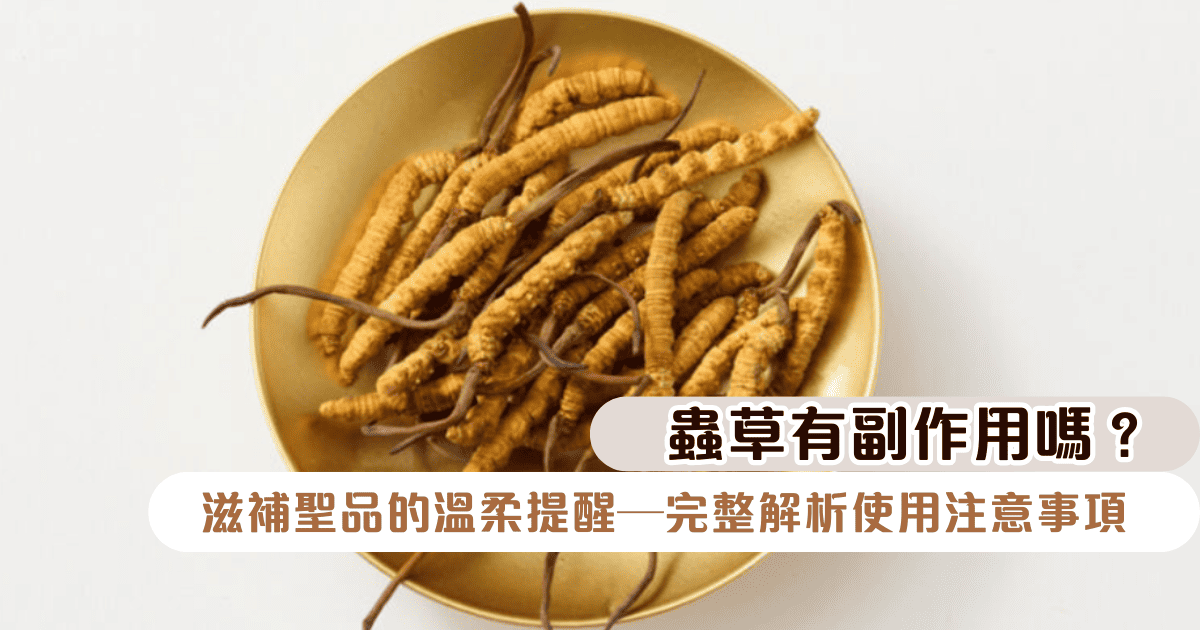 蟲草有副作用嗎？滋補聖品的溫柔提醒—完整解析使用注意事項，讓養生之路更安心
