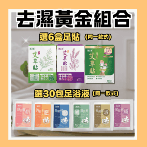健之堂【去濕黃金組合 中醫師調配】皇牌艾草去濕足貼 6 盒 + 艾草足浴液 30包 (先浸後貼，雙效去濕，1個月份)