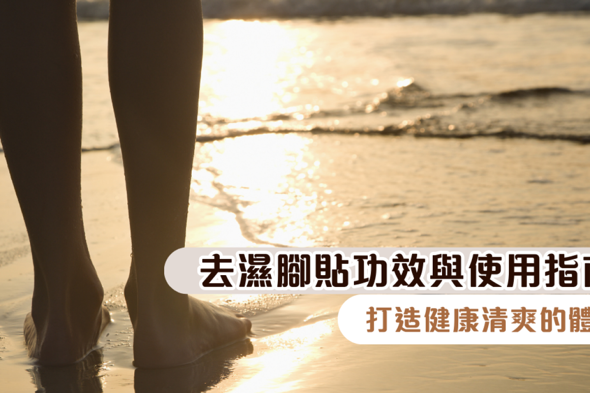 去濕腳貼功效與使用指南：打造健康清爽的體質