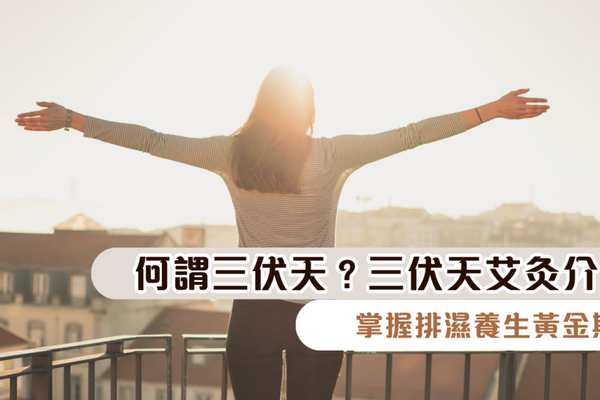何謂三伏天？三伏天艾灸介紹｜掌握排濕養生黃金期