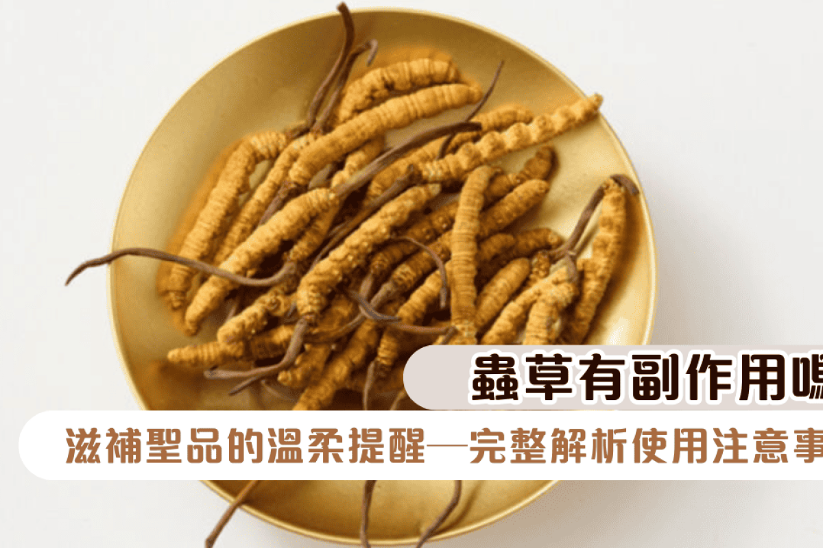 蟲草有副作用嗎？滋補聖品的溫柔提醒—完整解析使用注意事項，讓養生之路更安心